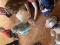 Edukace v Mateřské škole Písková Lhota a Bobnice