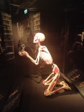 Body Worlds 1L a 2L