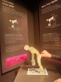 Body Worlds 1L a 2L